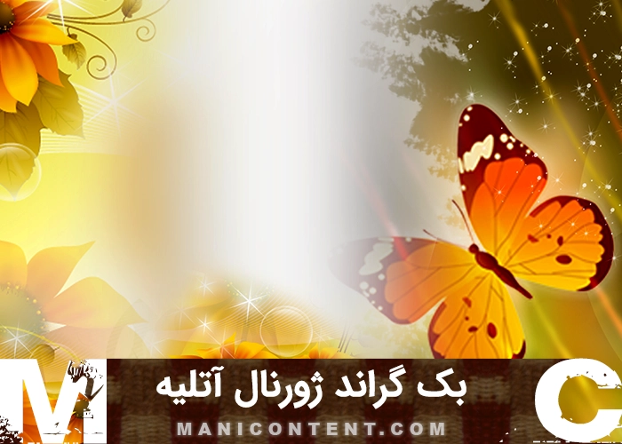 بک گراند تک برگ پروانه آتلیه عروس داماد