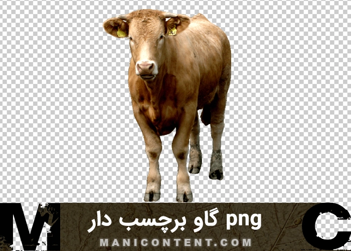 png گاو قهوه ای برچسب دار brown cow labeled